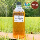 식초몰