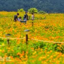 서광리-22 이미지