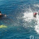 제주서 꽃다운 20대女 사망케 한 스쿠버다이빙 이미지