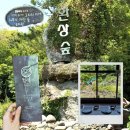 제주 환상숲 곶자왈 숲해설·족욕체험 후기｜제주 서쪽 가볼만한 곳