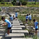 양양군 종합운동장 다목적경기장 이미지