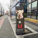 하이프(HIFE) 이미지