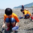 [서중마을]갯벌 체험