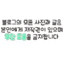 피치랑 인제원통점