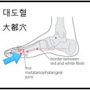 MBC 드라마.馬醫(마의.Horse Doctor) *[EP01~20] ^ 백광현(白光玄) - 어변성룡(魚變成鏞) ^ 등룡문(登龍...