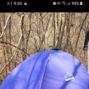 인터디자인