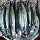 동피랑길 이미지