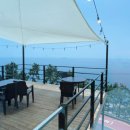 스테이다옴 이미지