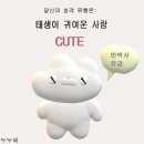 삐까뻔쩍 - 창원시 진해구 풍호로63번길 28 | 삐까뻔쩍