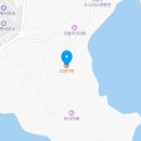 산책하는 고양이 | 카페 고양이역 영흥도에서 찾은 고양이세상 후기 비용 꿀팁