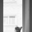 정평동물병원 이미지