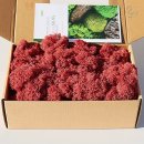 꽃사랑플라워 이미지