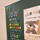 펌킨 펫하우스 서울숲 이미지