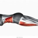 챌린지태권도장 이미지