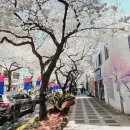 보랏빛향기 노래연습장 이미지