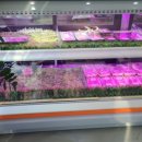 엘로우 한우 식육식당 이미지