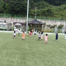 분성체육공원? 이미지