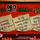 치르치르 이미지