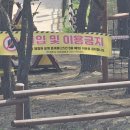 화랑 유아숲체험원 이미지