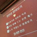 썸하우스 | 압구정 솔로파티 DX 데이썸파티, 솔로들의 찐만남 현장 솔직후기