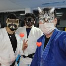 배방 유도관 이미지