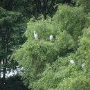 장자호수생태공원 이미지