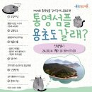 [통영청년세움] 통영섬플 용초도 갈래? 프로그램 참여 후기
