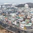 유성 백제뉴스