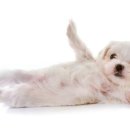 뽀짝뽀짝 이미지