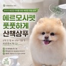 풋풋하게 | 에르모사펫 풋풋하게 산책샴푸 후기 무향이라 더 안심되는 반려동물 부분목욕템