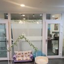 퍼피멜로디 이미지