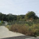 산 목장 이미지