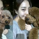 우쭈쭈펫샵