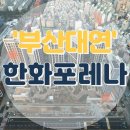 교하대운공인중개사사무소 | 부산 남구 대연동 신축 한화 포레나 부산대연 사전점검 후기 및 입지 정리