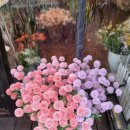 pc하우스 이미지