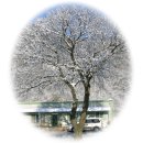 강변펜션 이미지