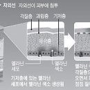 올인원홈케어 이미지