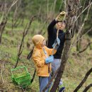 도농농장 이미지