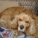 양수의과병원 이미지