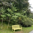 채원 | [가평]아침고요수목원과 잣 두부 맛집 채원 솔직 후기!