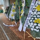 산울동_산울초중학교 이미지