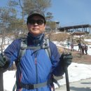 명품소나무길 이미지