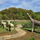 자연생태공원 부천식물원 이미지