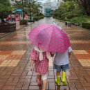 손가락 가족👨‍👩‍👧‍👦인형으로 놀기~코끼리 아저씨는 코가 손이래🎶 이미지