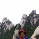 고고 이미지