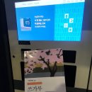 쓰가루 | 민음사 다자이 오사무의 그나마 인간적인 쓰가루 완독 후기