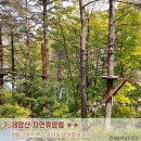 보성다방 이미지