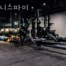 휘트니스 파이(FITNESS PI) 네이버블로그