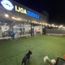 아이조아요양보호소 전남광주점 이미지