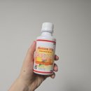 삼가1통 | [24주 6일차] 임신성 당뇨 검사 통과 후기 (나름 관리한 방법)